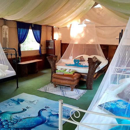 Fully Furnished Family Jungle Tent, Latino Glamping Paquera Zewnętrze zdjęcie