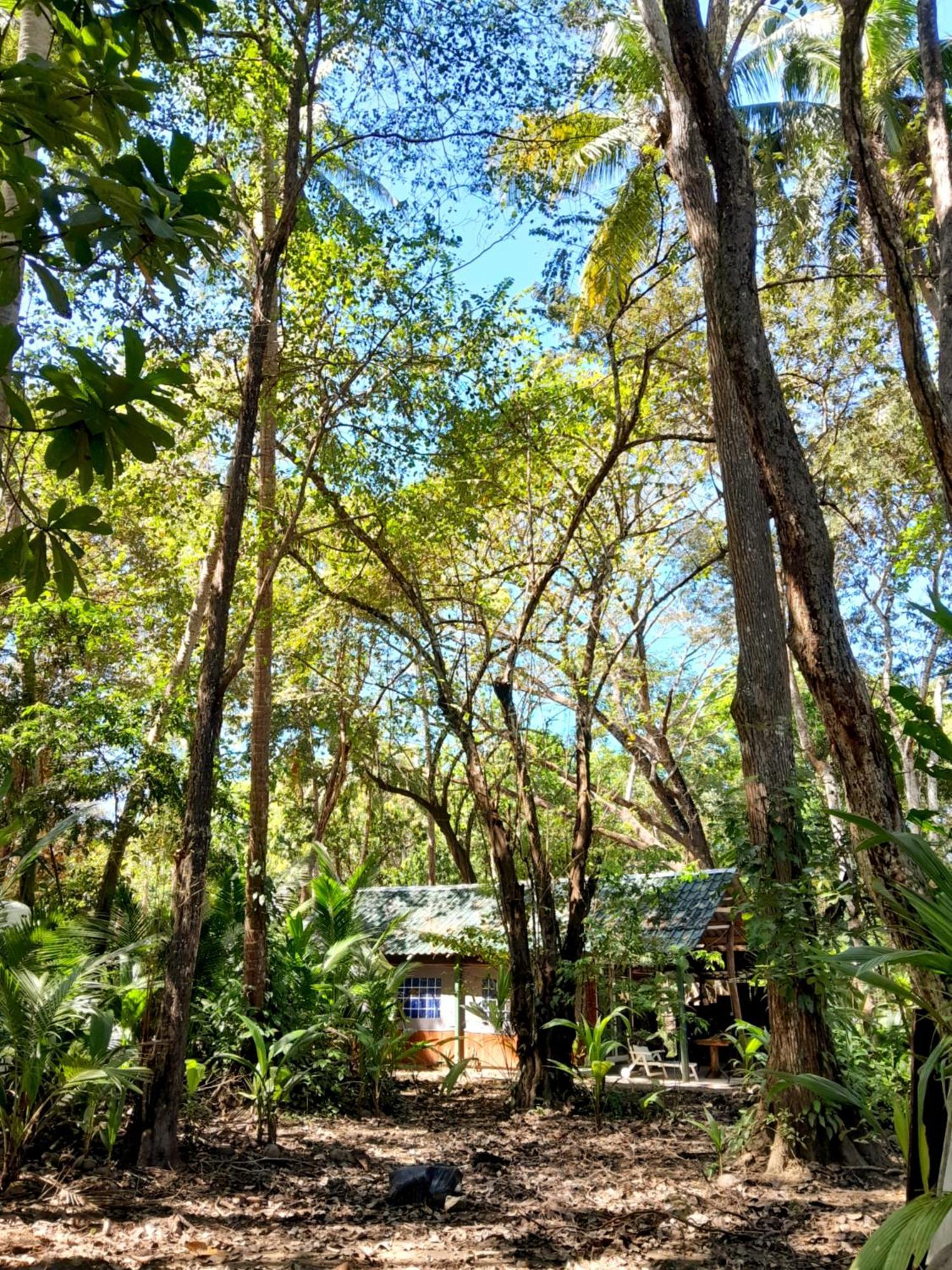 Fully Furnished Family Jungle Tent, Latino Glamping Paquera Zewnętrze zdjęcie