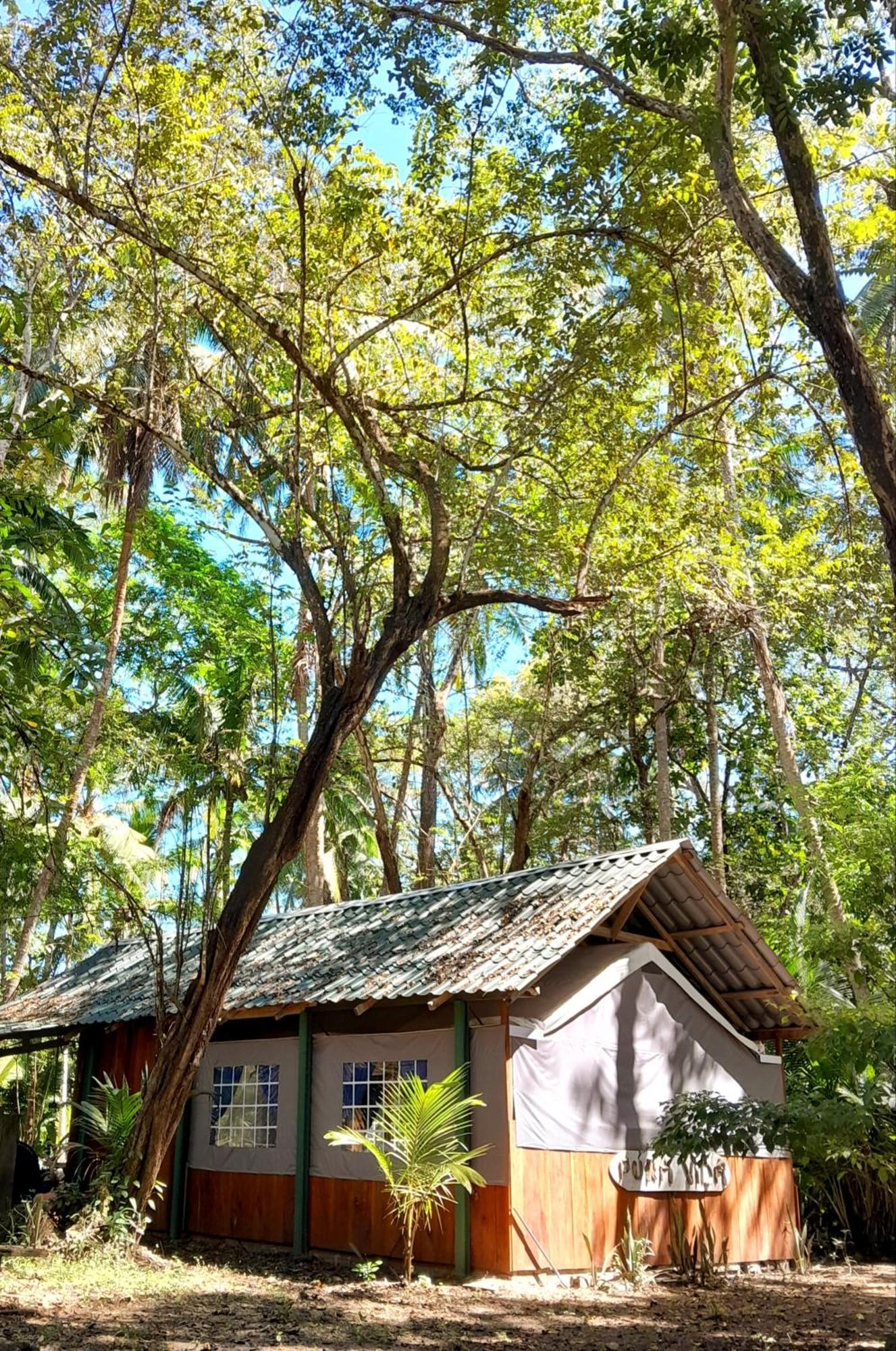 Fully Furnished Family Jungle Tent, Latino Glamping Paquera Zewnętrze zdjęcie