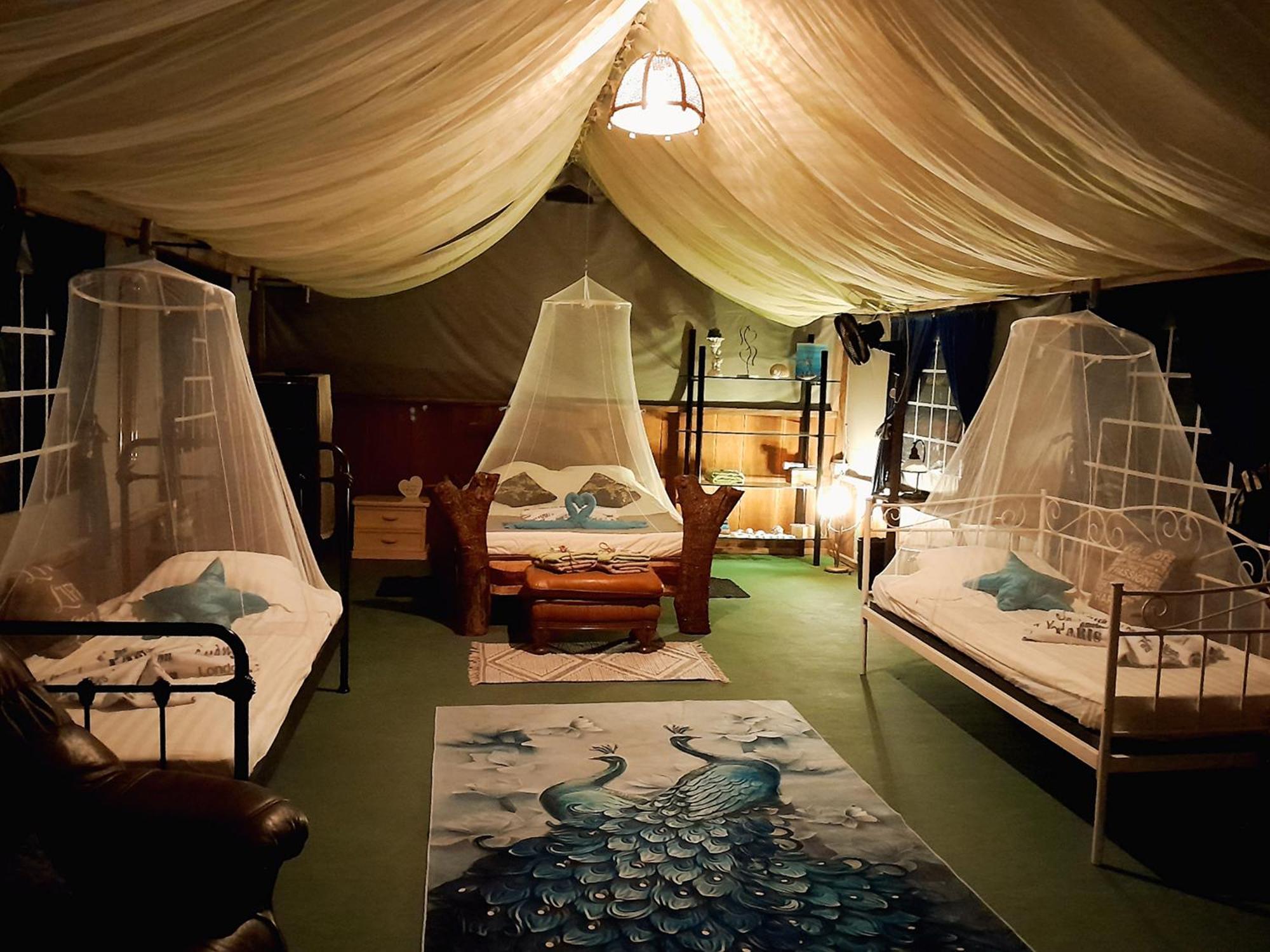 Fully Furnished Family Jungle Tent, Latino Glamping Paquera Zewnętrze zdjęcie