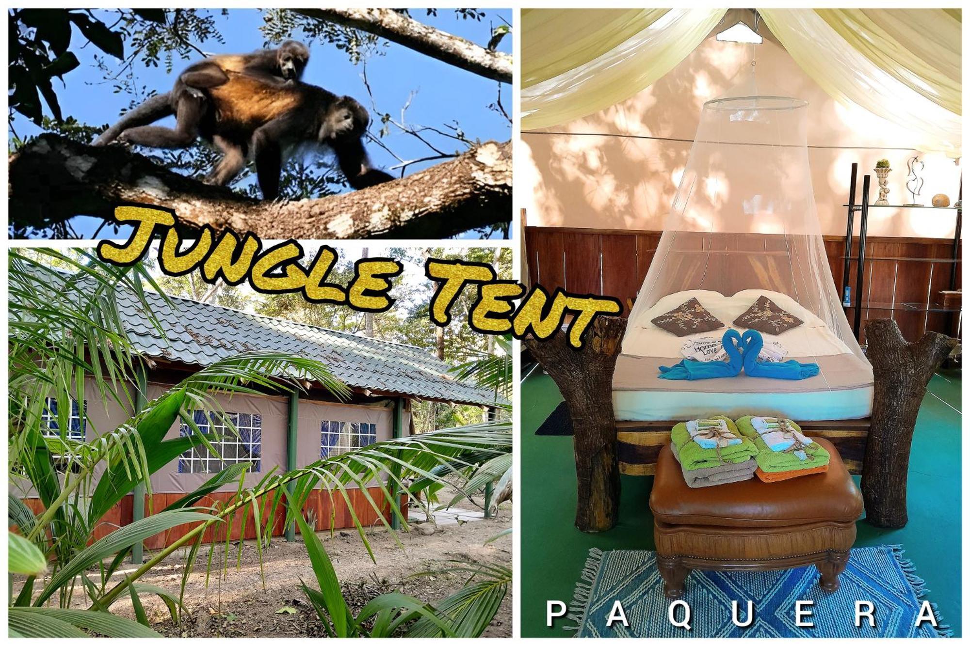 Fully Furnished Family Jungle Tent, Latino Glamping Paquera Zewnętrze zdjęcie