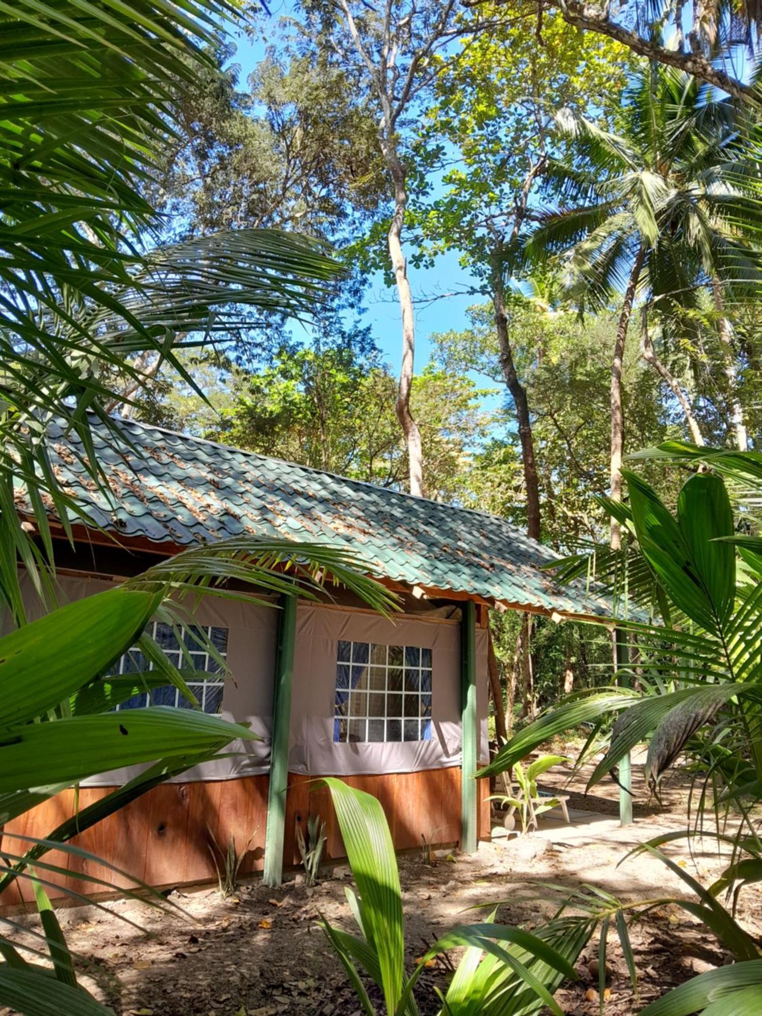 Fully Furnished Family Jungle Tent, Latino Glamping Paquera Zewnętrze zdjęcie
