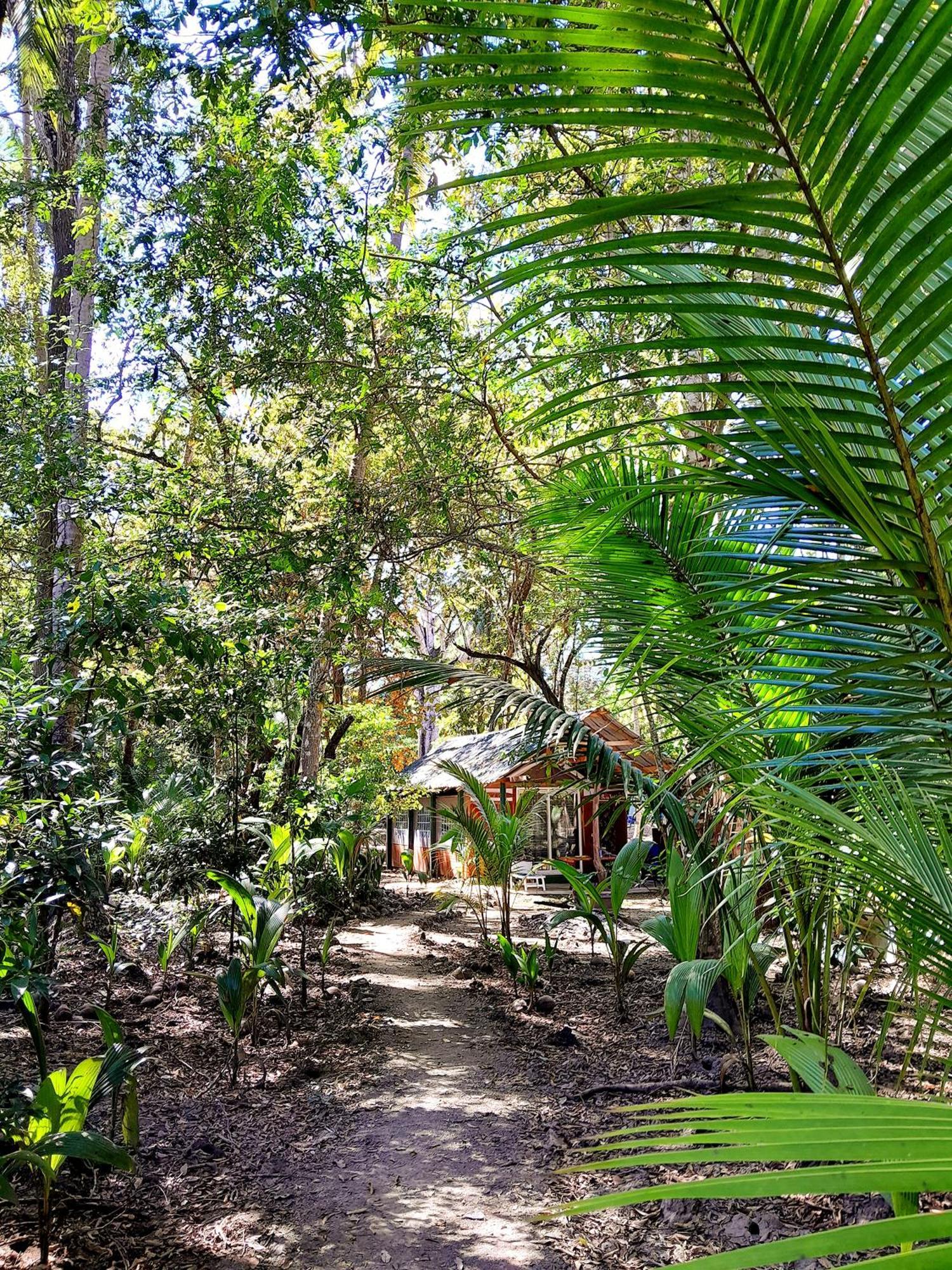 Fully Furnished Family Jungle Tent, Latino Glamping Paquera Zewnętrze zdjęcie