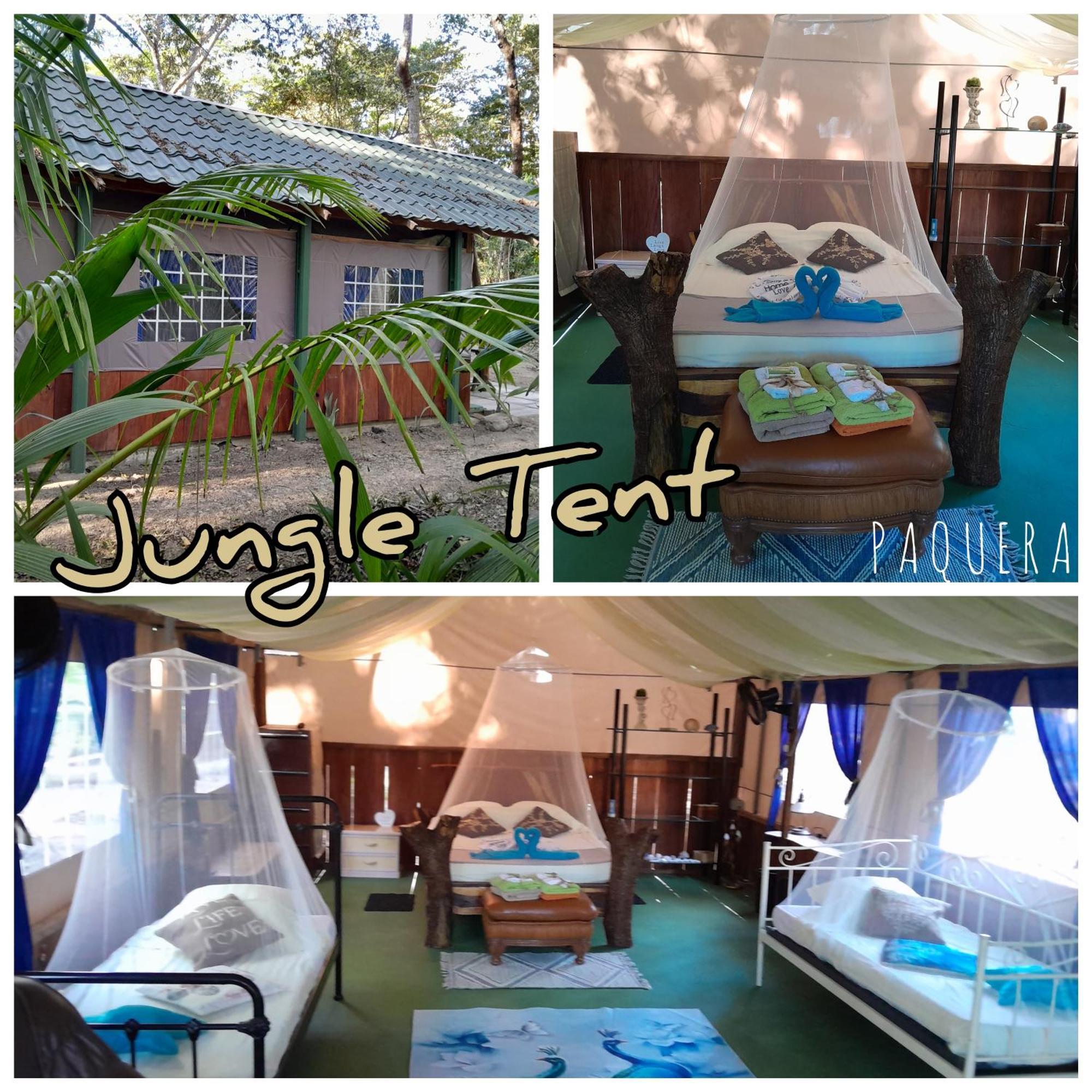 Fully Furnished Family Jungle Tent, Latino Glamping Paquera Zewnętrze zdjęcie