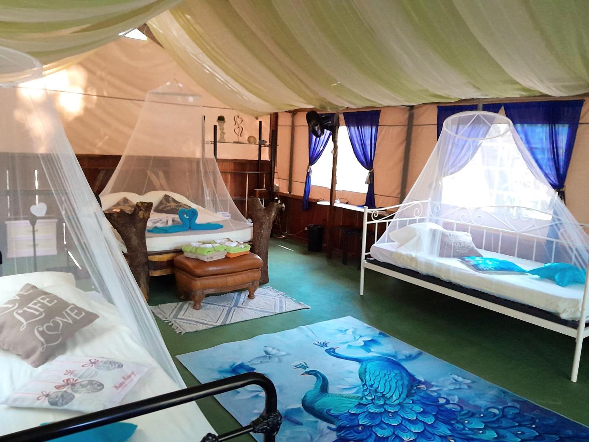 Fully Furnished Family Jungle Tent, Latino Glamping Paquera Zewnętrze zdjęcie