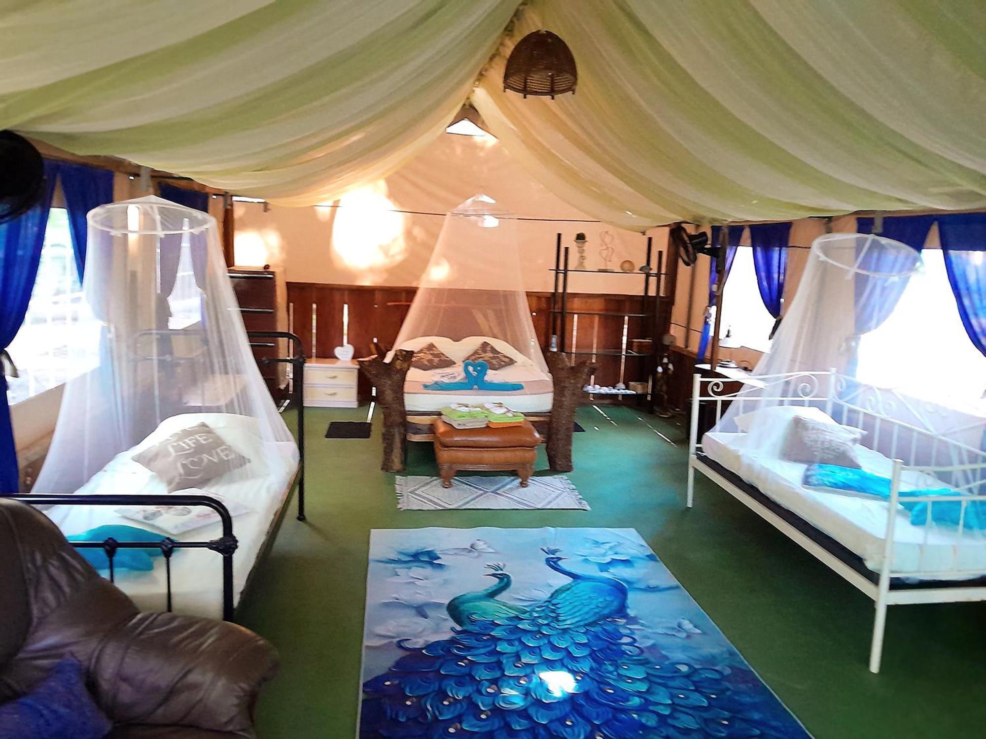 Fully Furnished Family Jungle Tent, Latino Glamping Paquera Zewnętrze zdjęcie